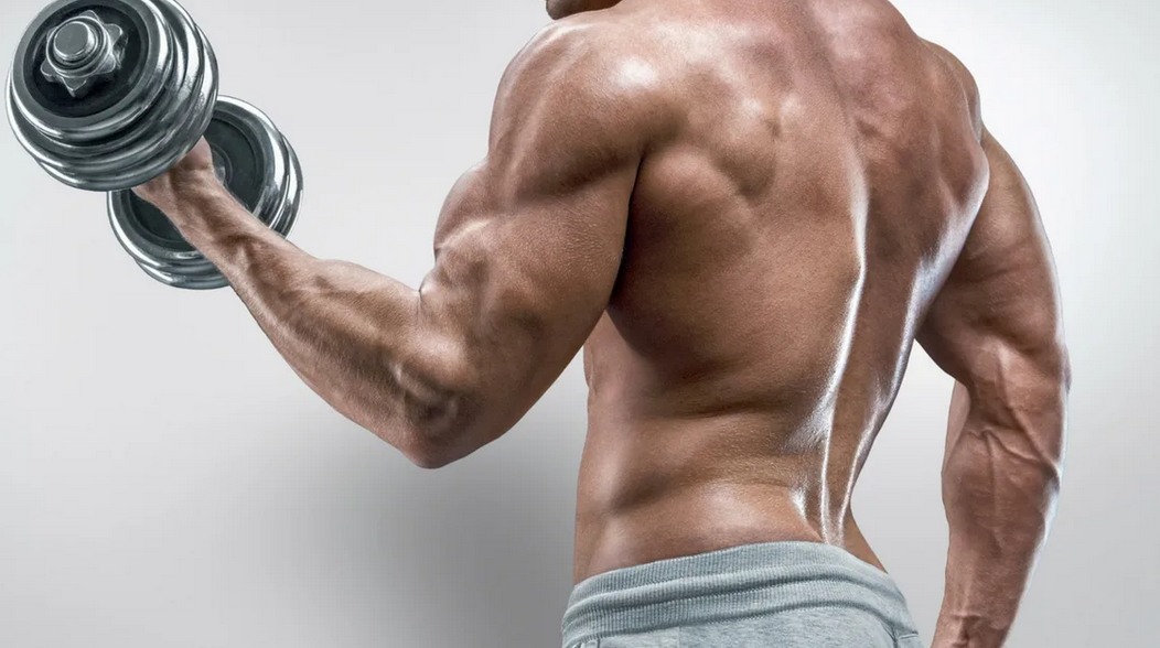 Crear masa muscular